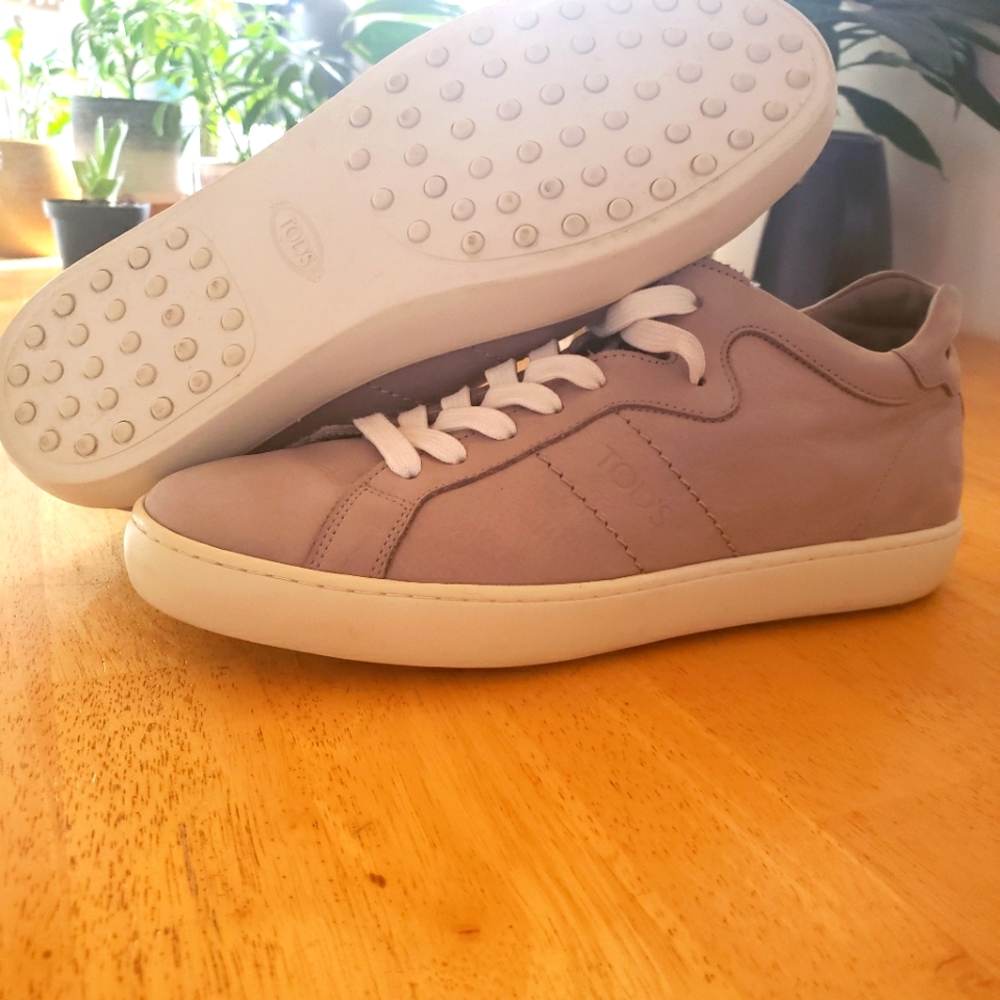 Tods sneakers